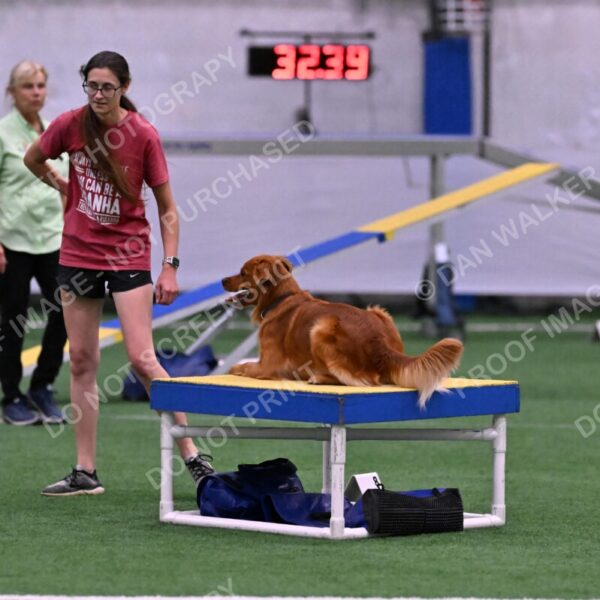 Kismet-Julianna-Lobosky-08652