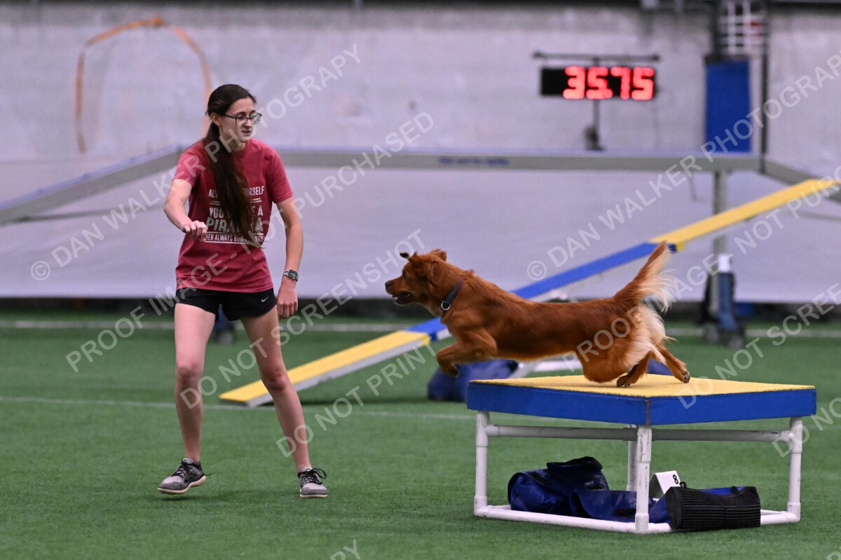 Kismet-Julianna-Lobosky-08654