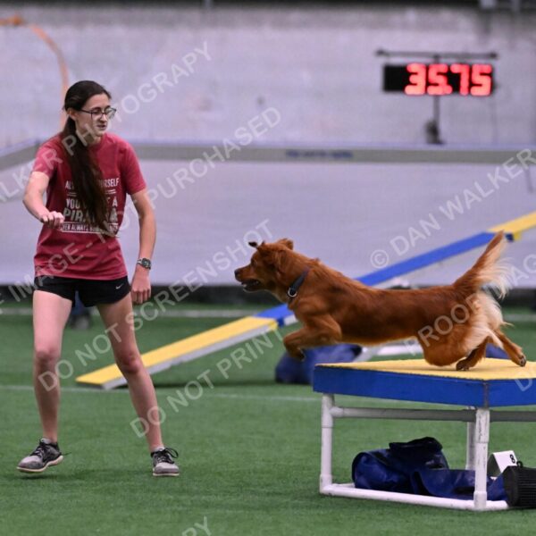 Kismet-Julianna-Lobosky-08654