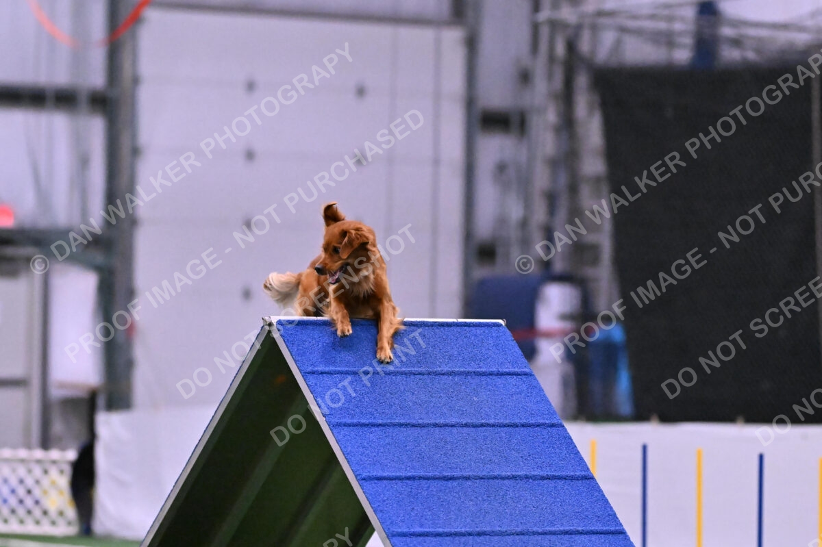 Kismet-Julianna-Lobosky-08656