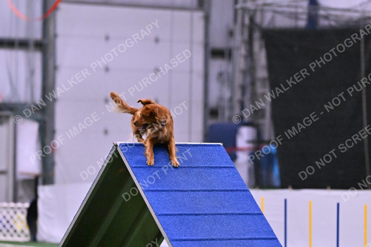 Kismet-Julianna-Lobosky-08657