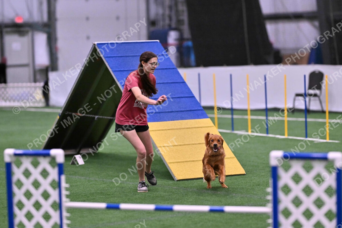 Kismet-Julianna-Lobosky-08662