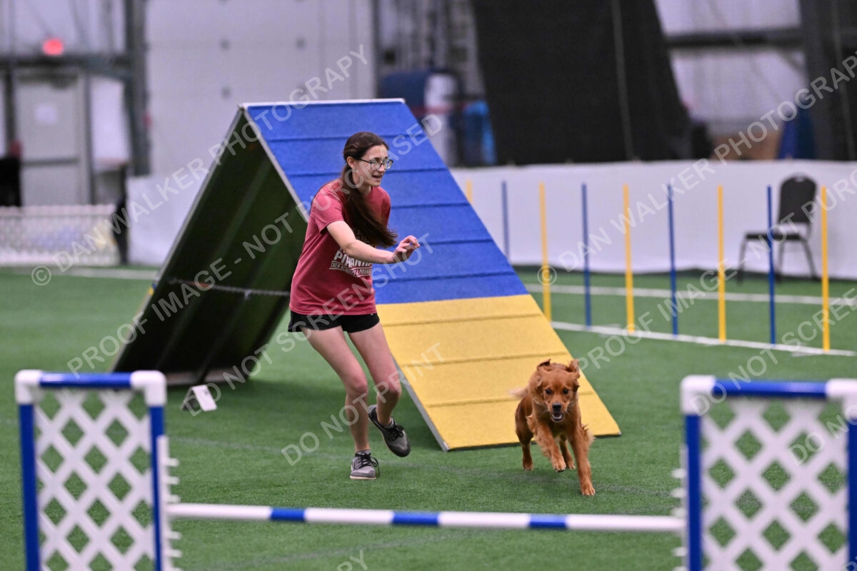 Kismet-Julianna-Lobosky-08663