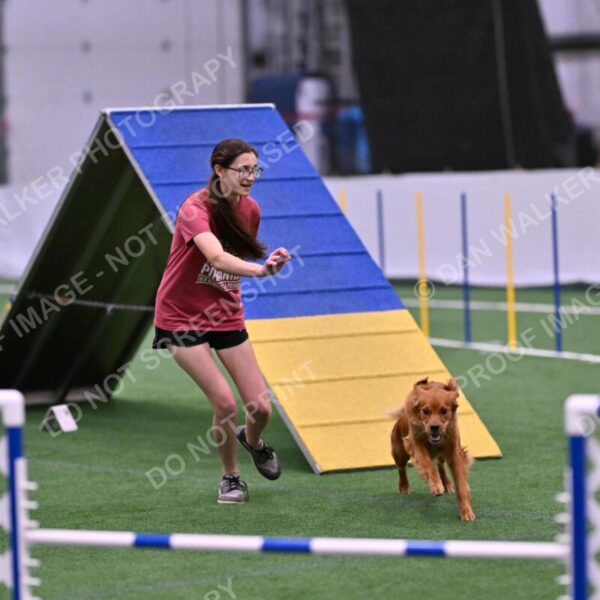 Kismet-Julianna-Lobosky-08663