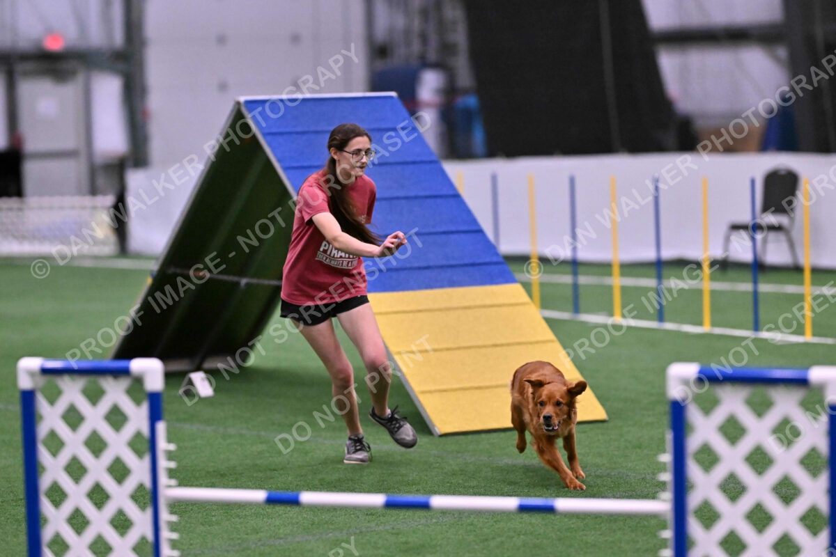 Kismet-Julianna-Lobosky-08664