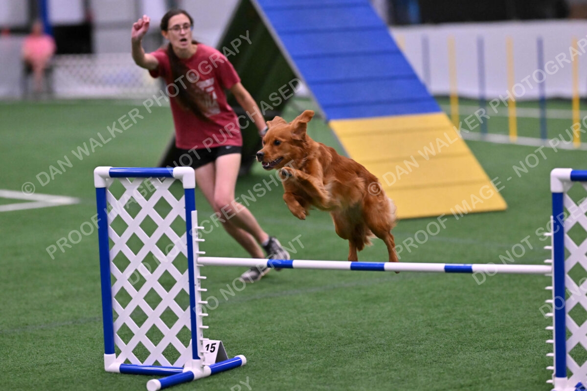 Kismet-Julianna-Lobosky-08665