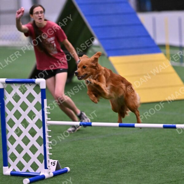 Kismet-Julianna-Lobosky-08665