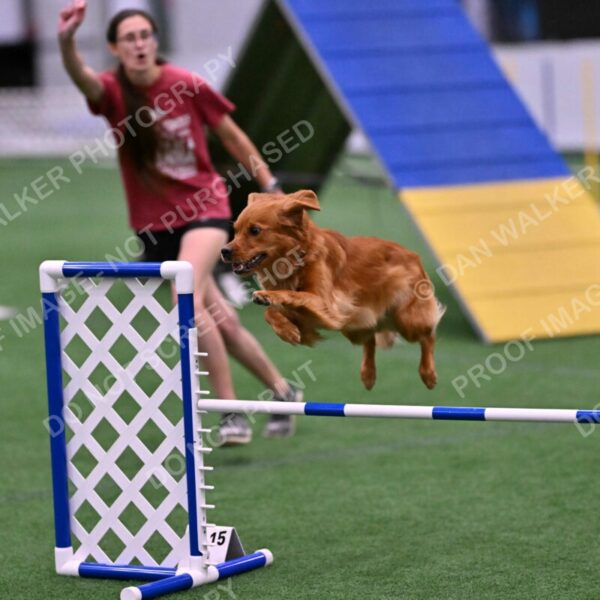 Kismet-Julianna-Lobosky-08666