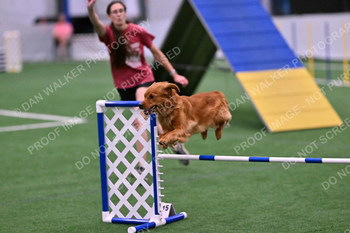 Kismet-Julianna-Lobosky-08667