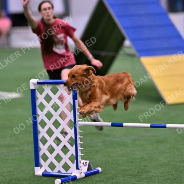 Kismet-Julianna-Lobosky-08667