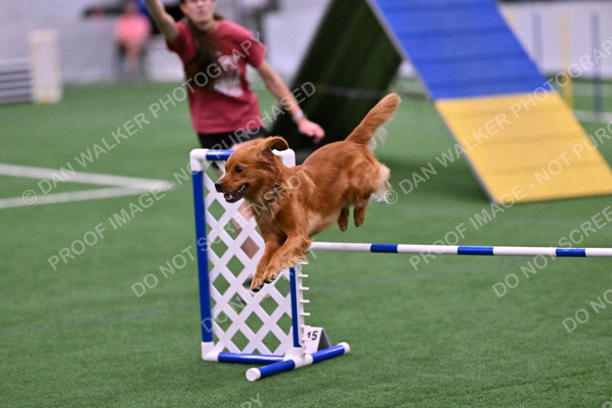 Kismet-Julianna-Lobosky-08668