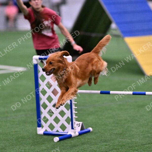 Kismet-Julianna-Lobosky-08668