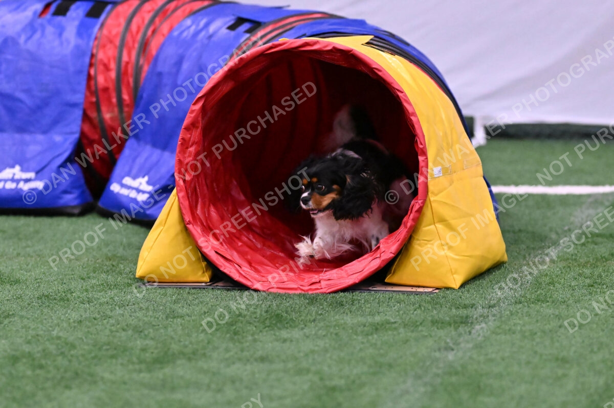 Lilibet-Maria-Perossa-08309