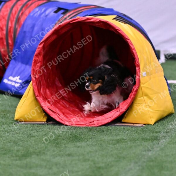 Lilibet-Maria-Perossa-08309