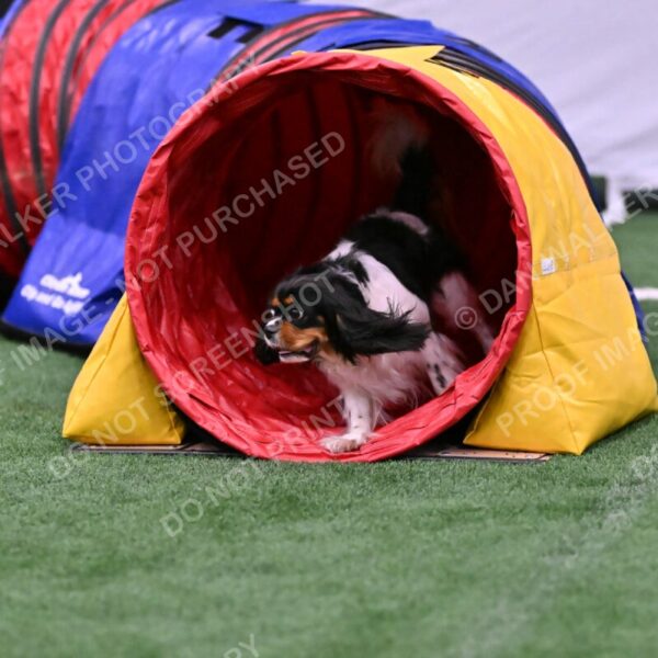 Lilibet-Maria-Perossa-08310