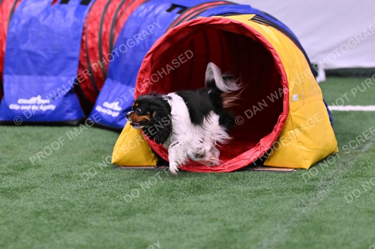 Lilibet-Maria-Perossa-08311