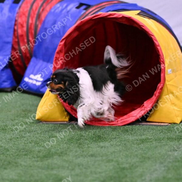 Lilibet-Maria-Perossa-08311