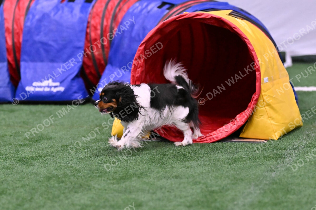 Lilibet-Maria-Perossa-08312