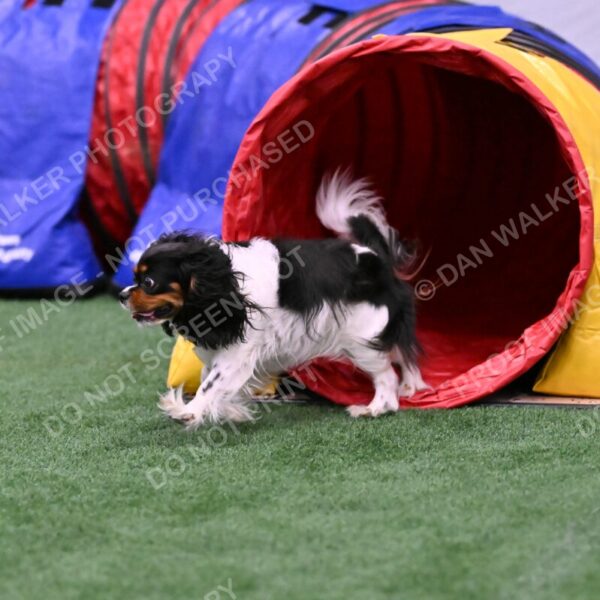 Lilibet-Maria-Perossa-08312