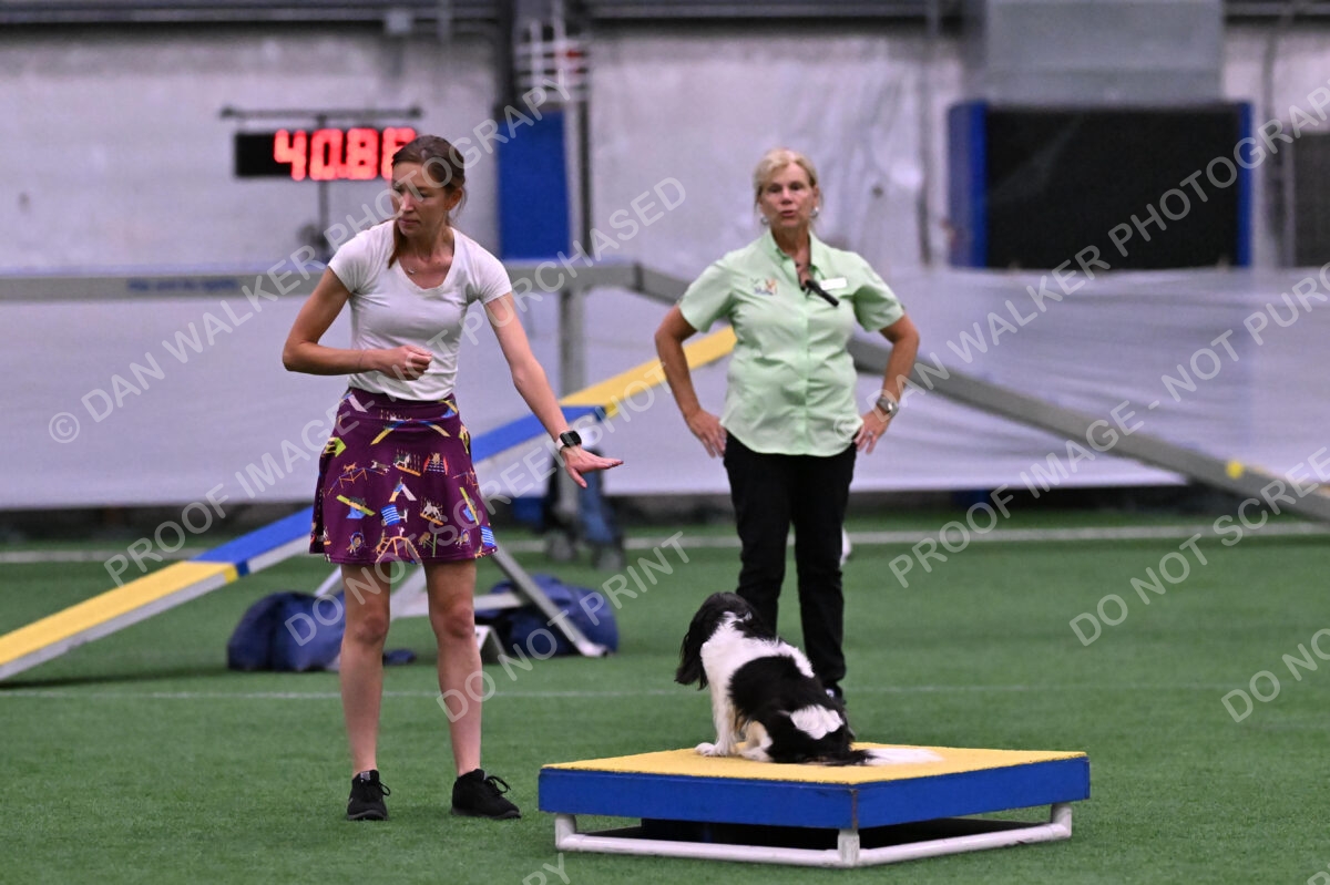 Lilibet-Maria-Perossa-08313