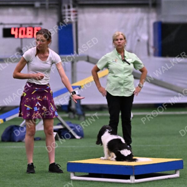 Lilibet-Maria-Perossa-08313