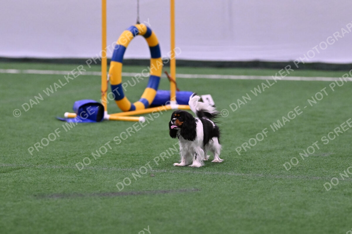 Lilibet-Maria-Perossa-08318