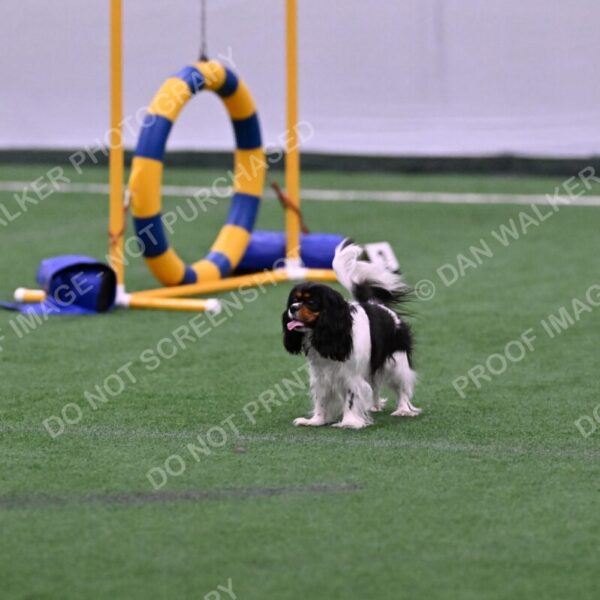 Lilibet-Maria-Perossa-08318