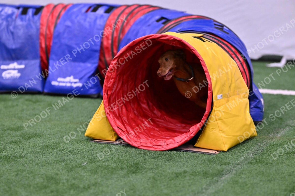 Merlot-Leslie-Myers-07830