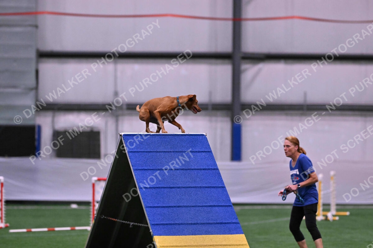 Merlot-Leslie-Myers-07834