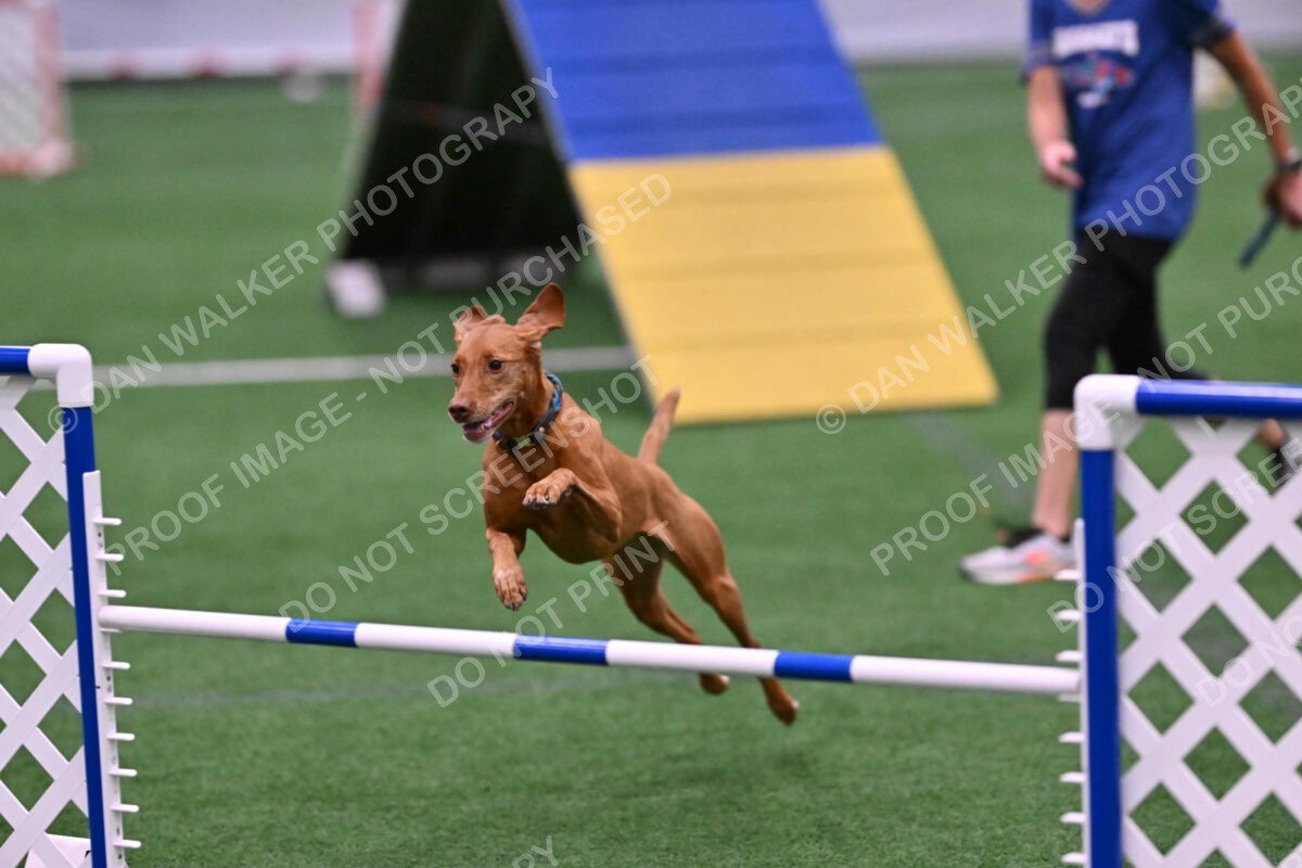 Merlot-Leslie-Myers-07840