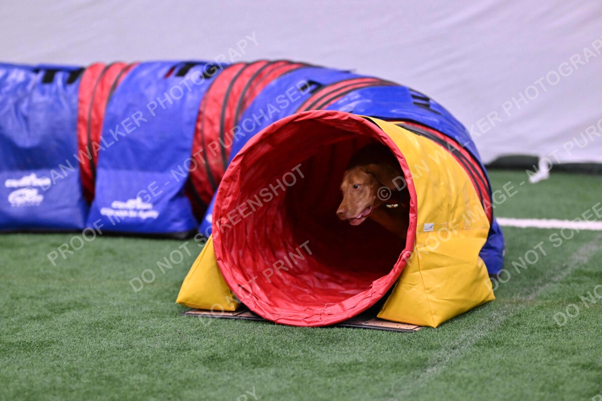 Merlot-Leslie-Myers-07857