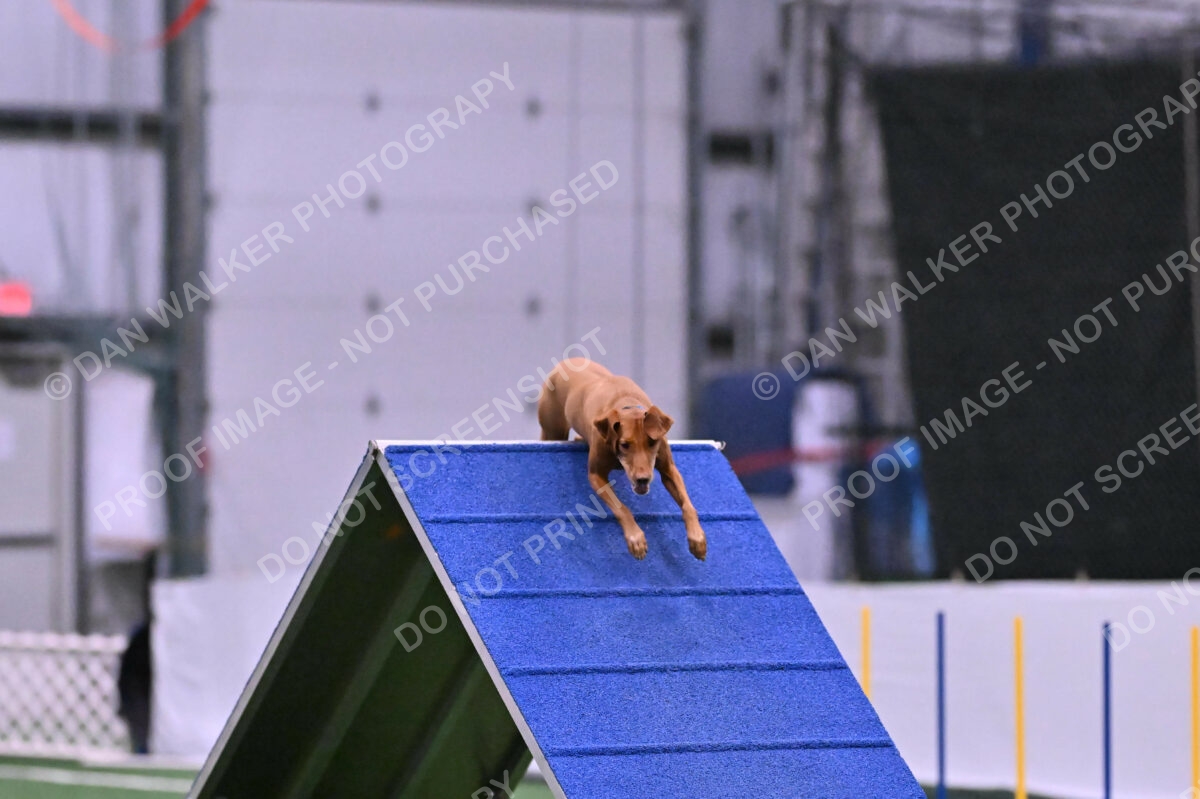 Merlot-Leslie-Myers-07862