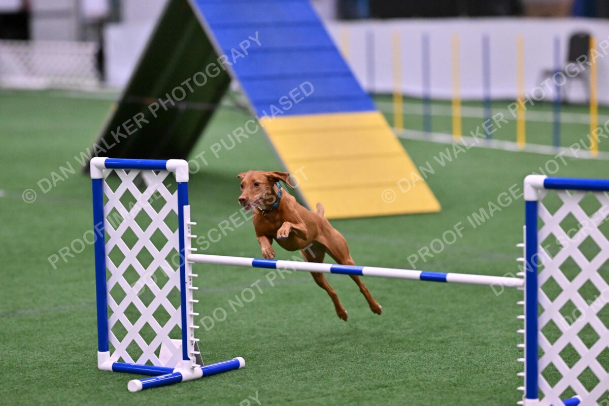 Merlot-Leslie-Myers-07872