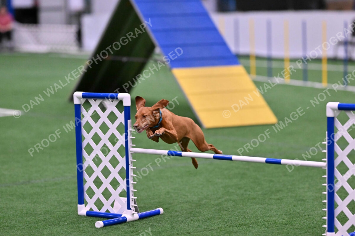 Merlot-Leslie-Myers-07873