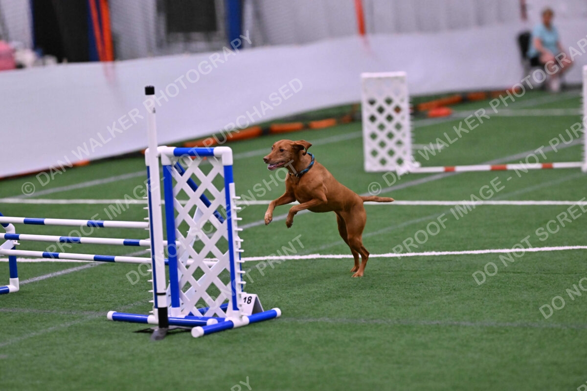 Merlot-Leslie-Myers-07877