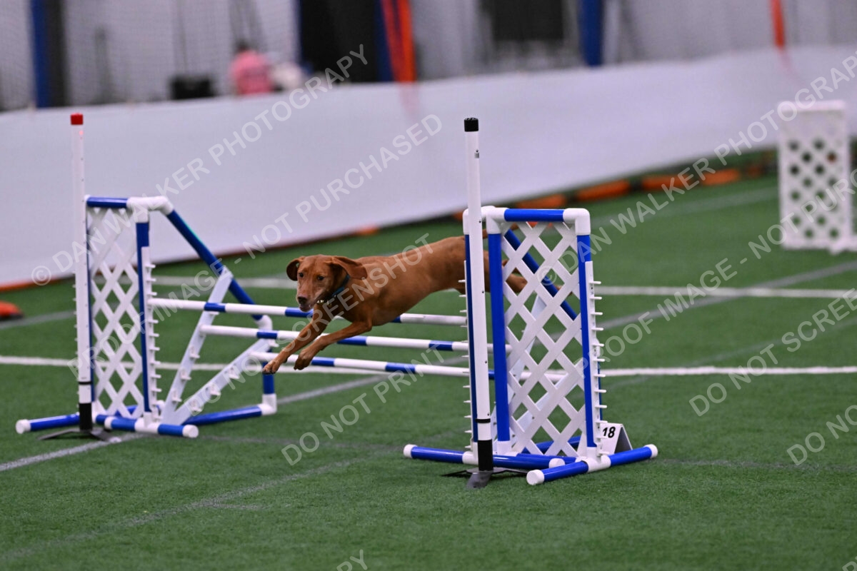 Merlot-Leslie-Myers-07881