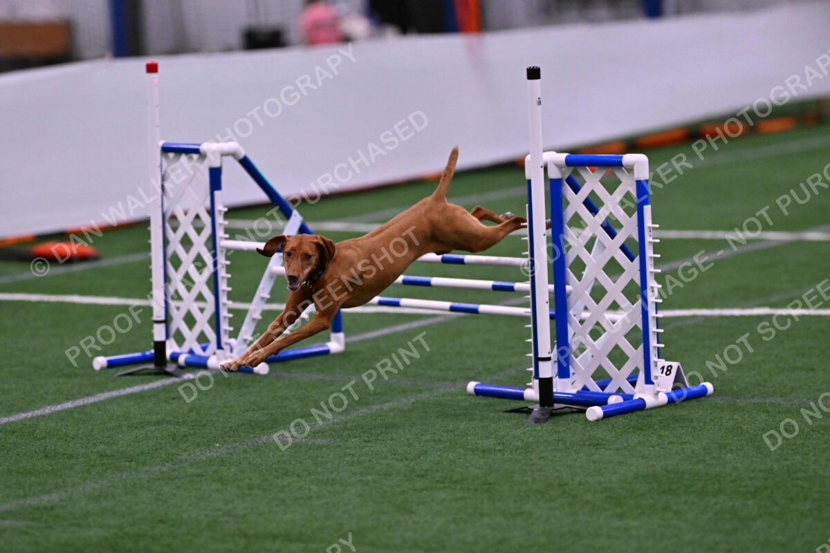 Merlot-Leslie-Myers-07882