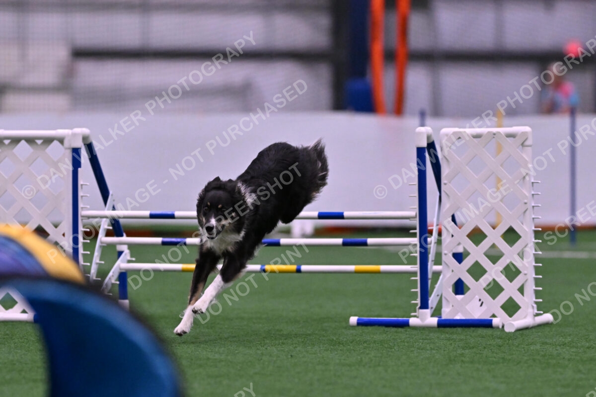 Mickey-Carolyn-Lincoln-04760