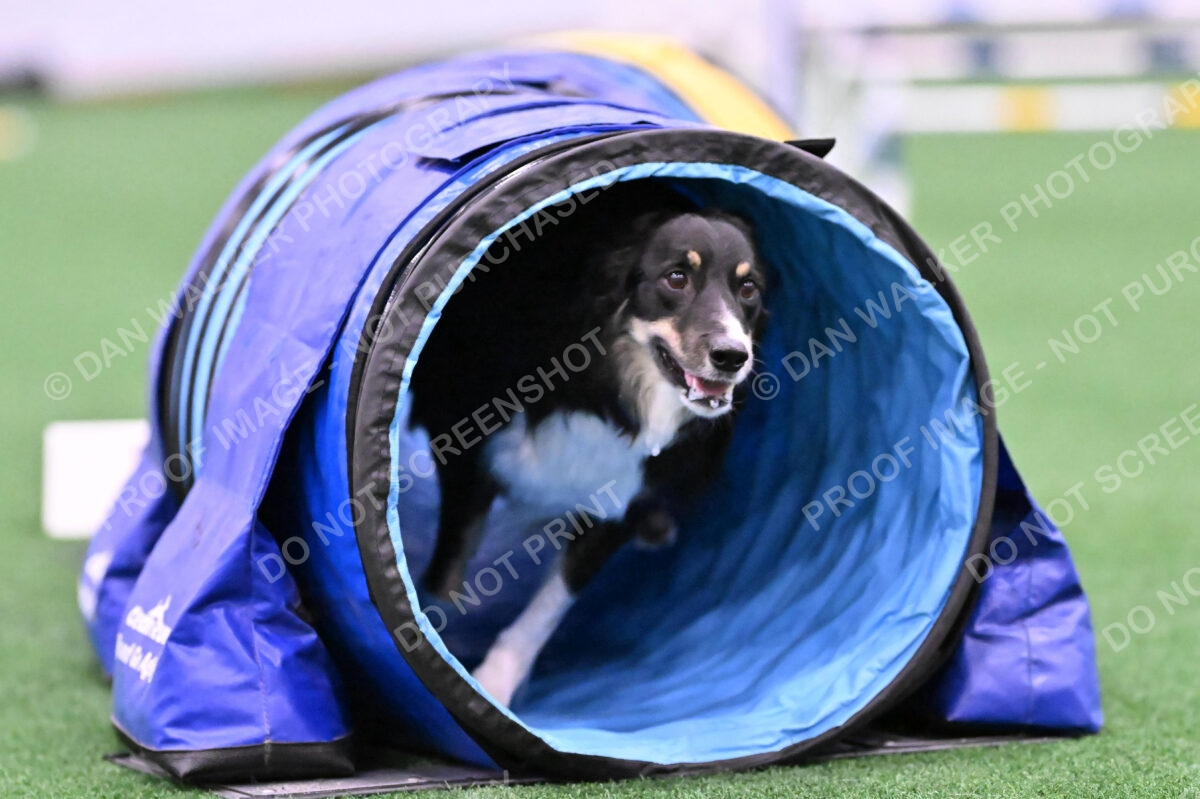 Mickey-Carolyn-Lincoln-04765