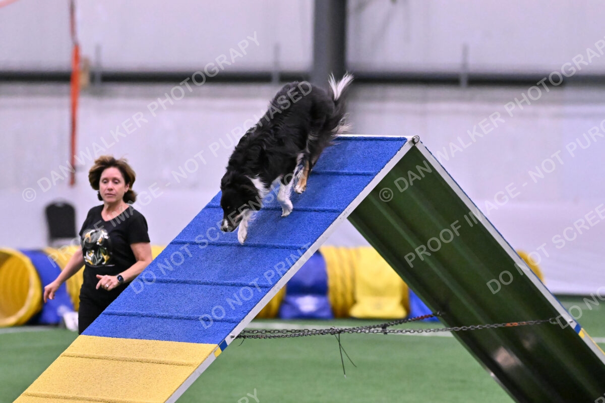 Mickey-Carolyn-Lincoln-04770