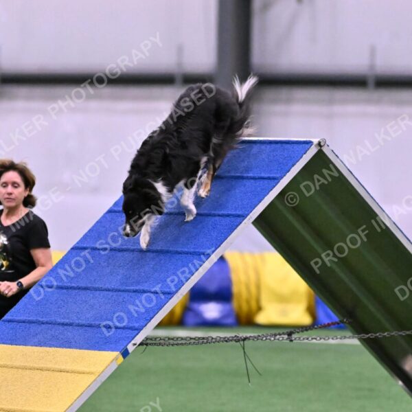 Mickey-Carolyn-Lincoln-04770