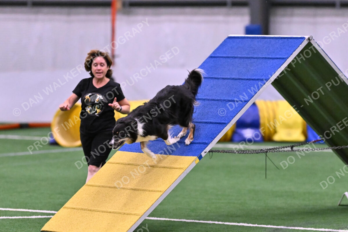 Mickey-Carolyn-Lincoln-04774