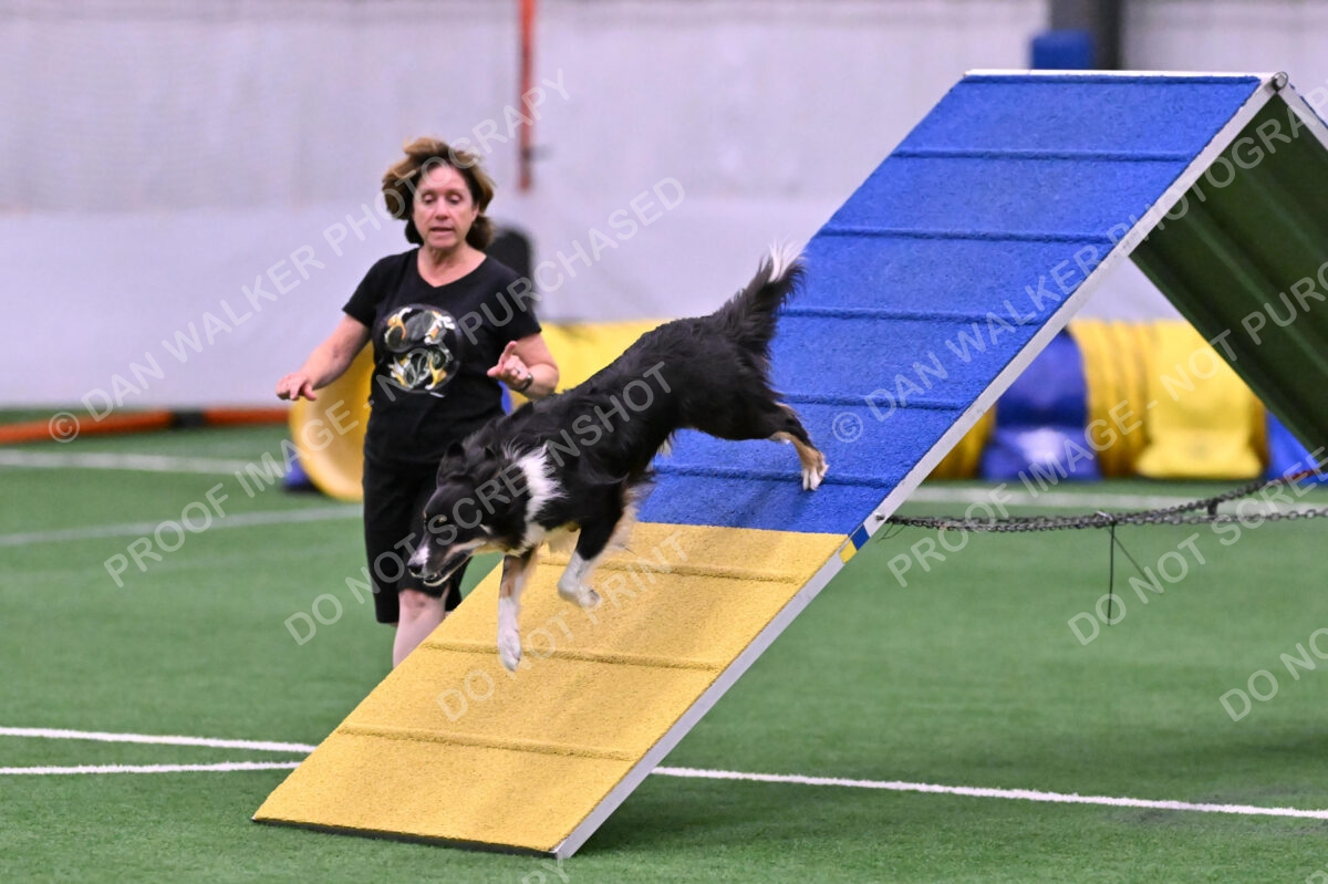 Mickey-Carolyn-Lincoln-04775