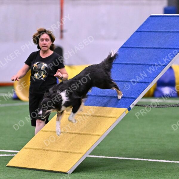 Mickey-Carolyn-Lincoln-04775