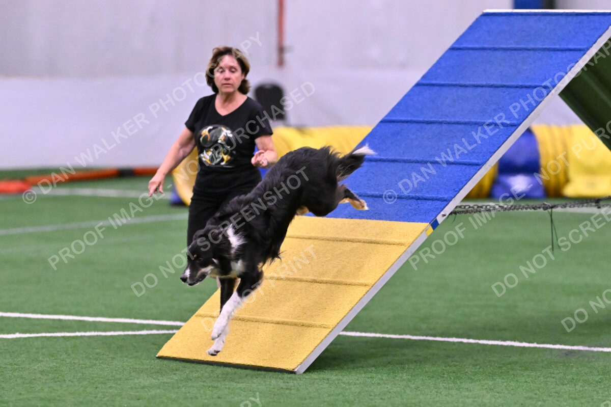 Mickey-Carolyn-Lincoln-04776