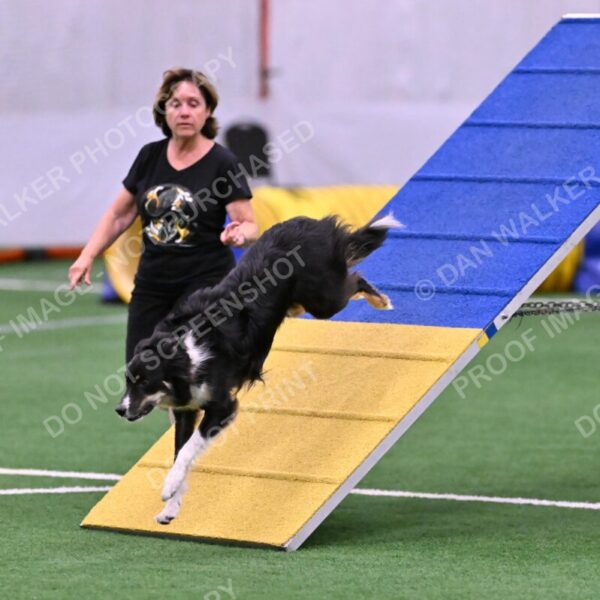 Mickey-Carolyn-Lincoln-04776