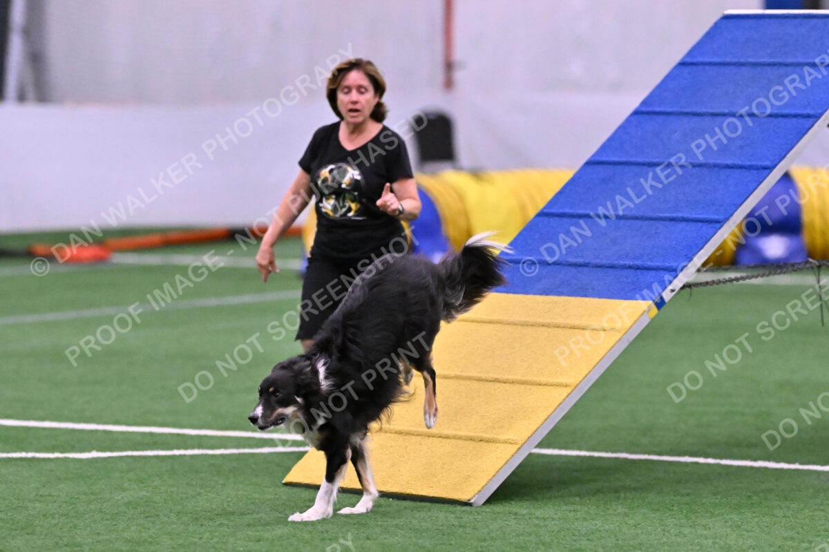 Mickey-Carolyn-Lincoln-04777