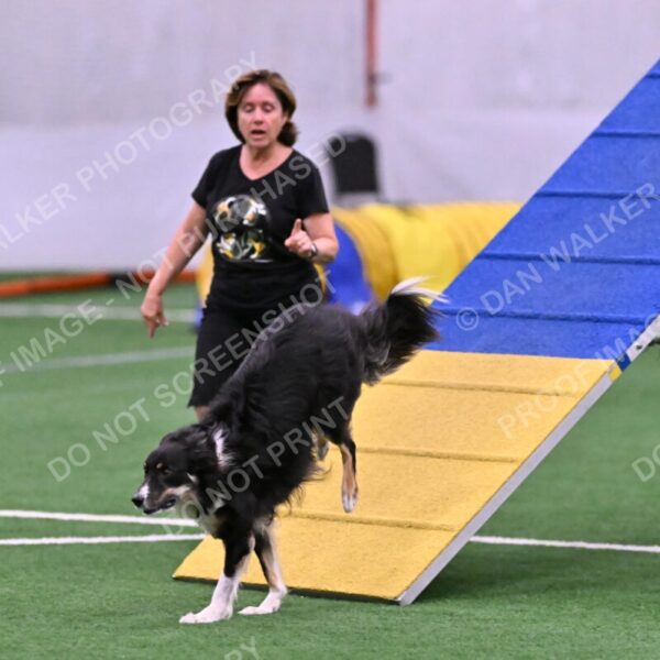 Mickey-Carolyn-Lincoln-04777