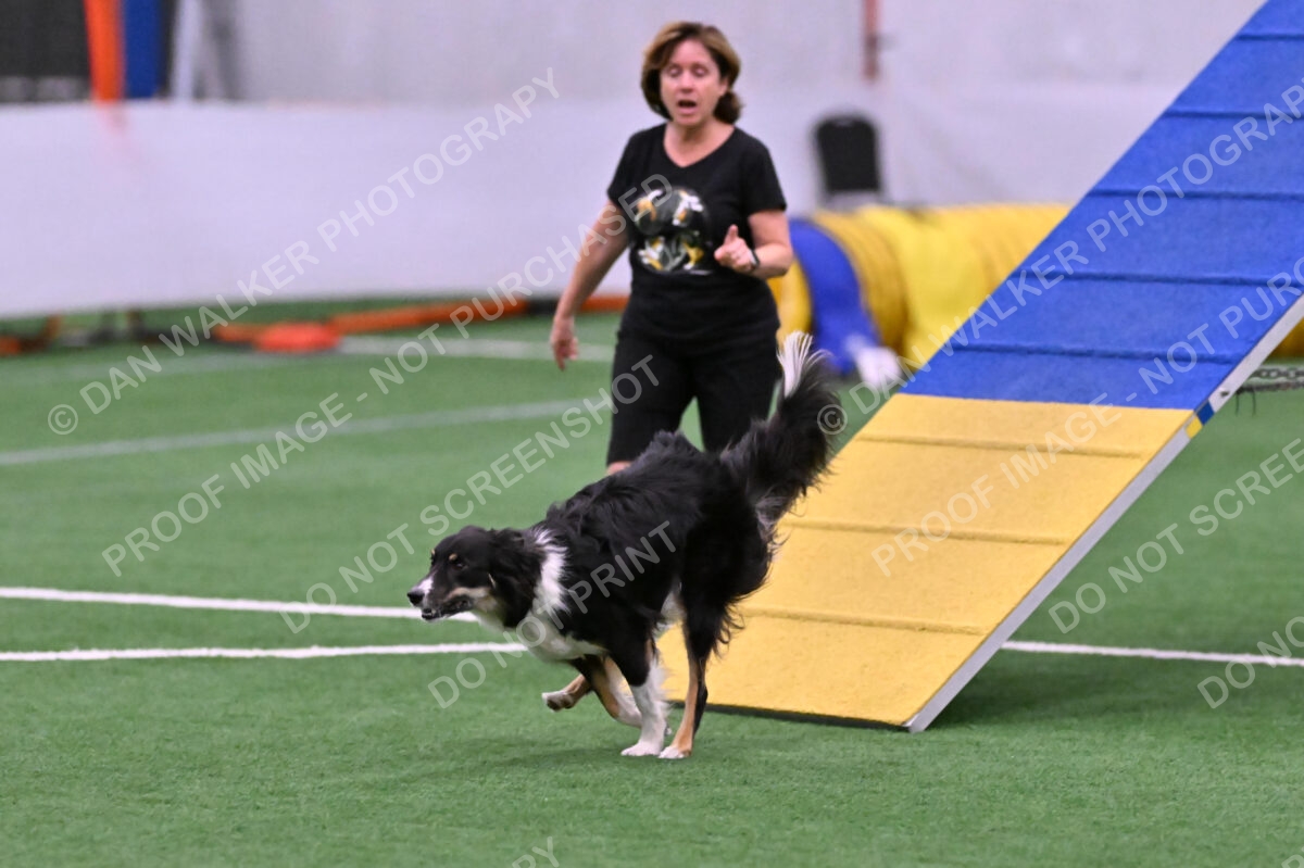 Mickey-Carolyn-Lincoln-04778