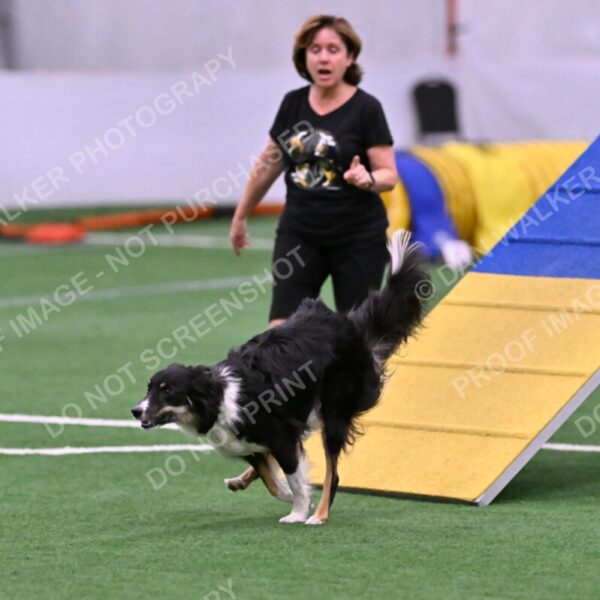 Mickey-Carolyn-Lincoln-04778